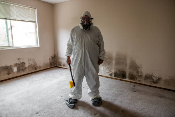 Best Insurance-Related Mold Remediation in Carrington, ND